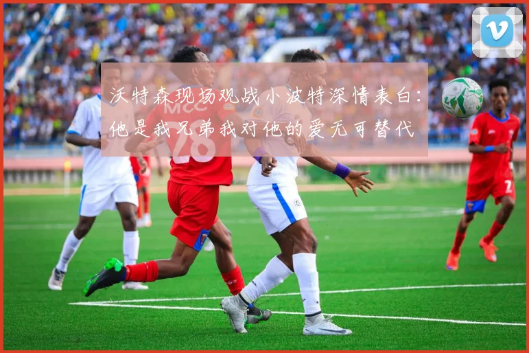 沃特森现场观战小波特深情表白：他是我兄弟我对他的爱无可替代