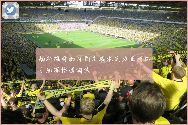 扬科维奇批评国足战术乏力亚洲杯小组赛惨遭淘汰
